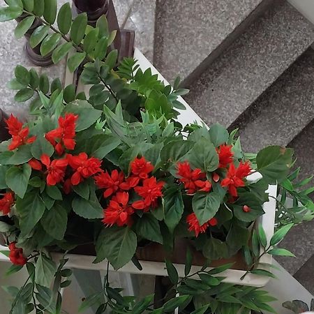 Da Tree Homestay 하노이 외부 사진
