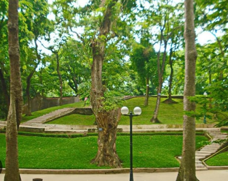 Da Tree Homestay 하노이 외부 사진